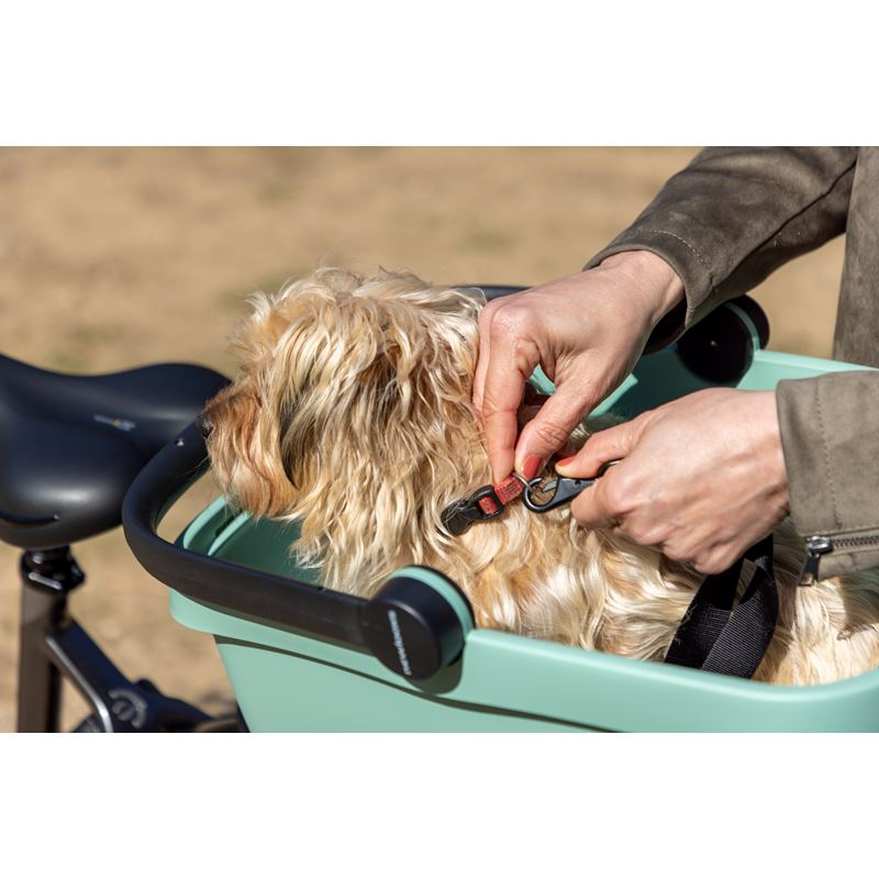 Newlooxs Clipper - Kæledyrspakke