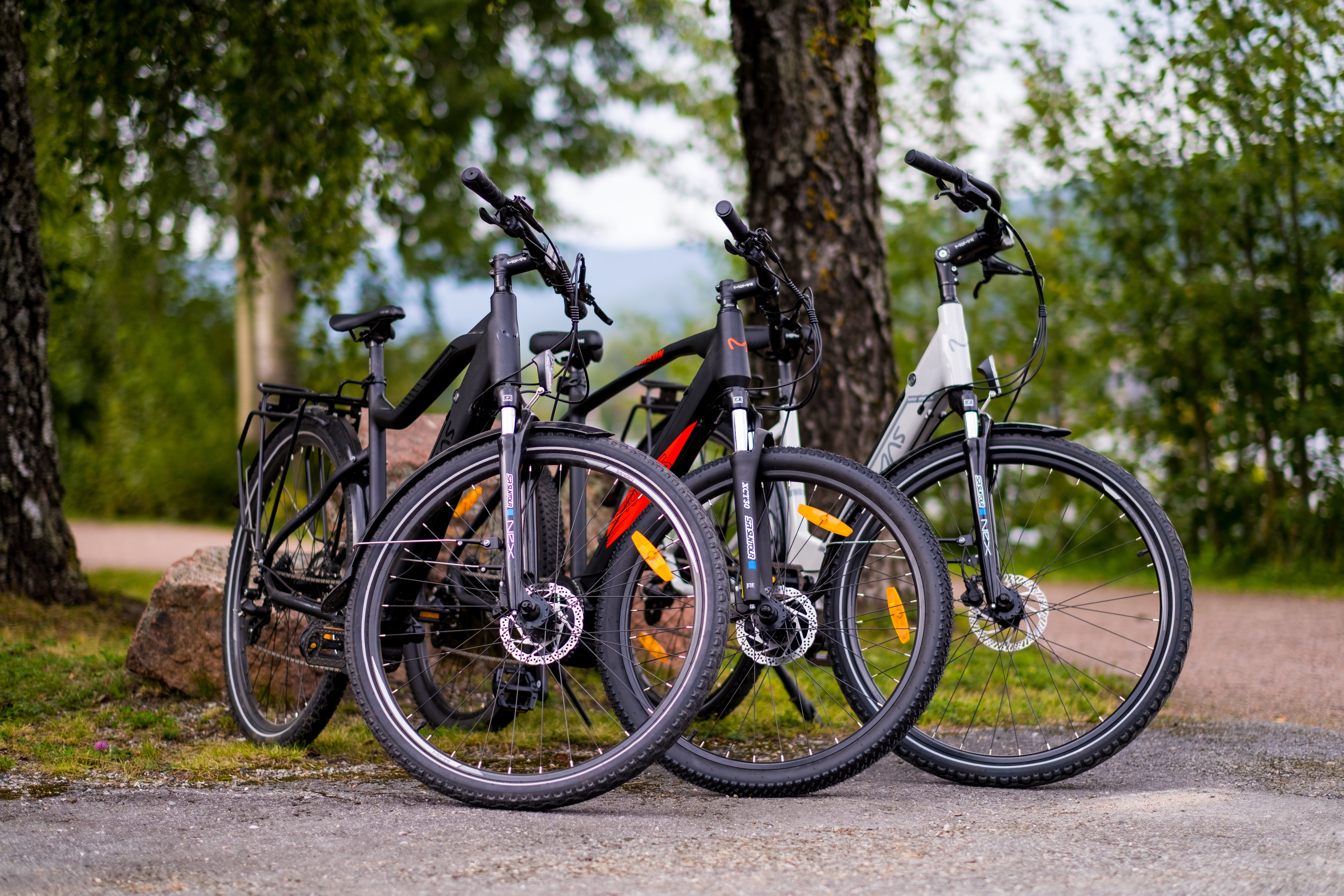 Group picture of all the best e-bikes from the brand Momas.jpg